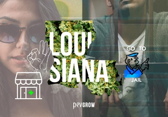 Collage con la silueta de Louisiana rellena de cogollos, rostros, una tienda con cruz verde y un dibujo con el texto «Go to jail».