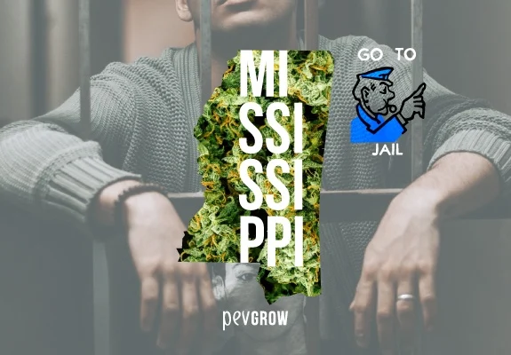 Silueta de Mississippi rellena de cogollos con el nombre en blanco, sobre un hombre tras barrotes y junto al texto «GO TO JAIL». Silueta de Mississippi rellena de cogollos con el nombre en blanco, sobre un hombre tras barrotes y junto al texto «GO TO JAIL».