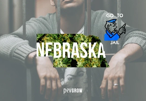 Silueta de Nebraska rellena de cogollos con su nombre en blanco, sobre un hombre tras barrotes y junto a un dibujo de policía.