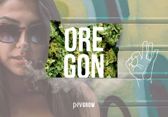 Silueta de Oregón rellena de cogollos con el texto «OREGON», una mujer con gafas entre humo y una mano dibujada haciendo el gesto de OK. Silueta de Oregón rellena de cogollos con el texto «OREGON», una mujer con gafas entre humo y una mano dibujada haciendo el gesto de OK.