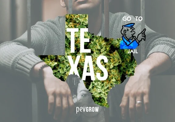 Silueta de Texas rellena de cogollos sobre una persona tras barrotes, con el nombre del estado y un dibujo de «Go to jail».