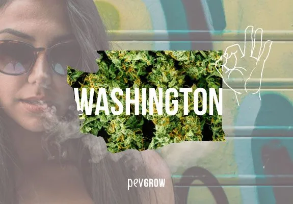 Silueta de Washington rellena de cogollos con su nombre en blanco, una mujer con gafas entre humo y una mano dibujada haciendo OK. Silueta de Washington rellena de cogollos con su nombre en blanco, una mujer con gafas entre humo y una mano dibujada haciendo OK.