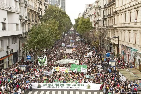 Una multitud llena una avenida arbolada entre edificios, con banderas y una pancarta frontal que dice «No más presos por cultivar».
