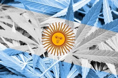 Montaje de hojas de cannabis en azul claro y blanco con el Sol de Mayo de la bandera argentina en el centro. Montaje de hojas de cannabis en azul claro y blanco con el Sol de Mayo de la bandera argentina en el centro.