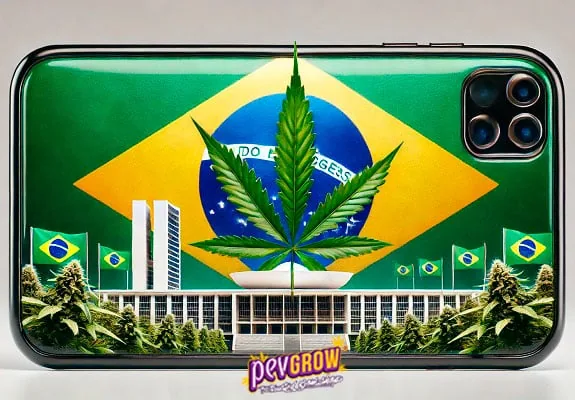 Montaje de un móvil con la bandera de Brasil, una hoja de cannabis y edificios institucionales rodeados de plantas y banderas. Montaje de un móvil con la bandera de Brasil, una hoja de cannabis y edificios institucionales rodeados de plantas y banderas.