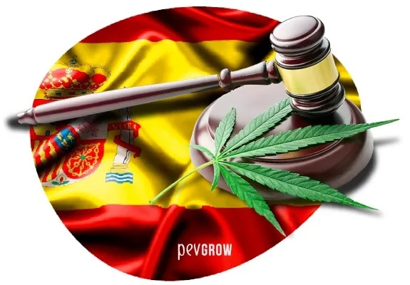 Mazo de juez sobre su base y una hoja de cannabis, con la bandera de España de fondo y el nombre Pevgrow en la parte inferior. Mazo de juez sobre su base y una hoja de cannabis, con la bandera de España de fondo y el nombre Pevgrow en la parte inferior.