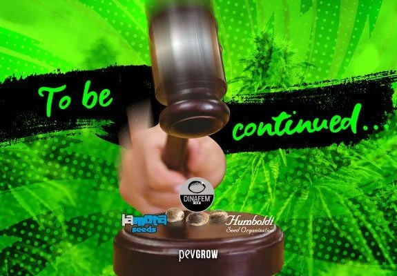 Mano con mazo de juez sobre una base con logotipos de Dinafem, La Mota y Humboldt, fondo verde y texto «To be continued…». Mano con mazo de juez sobre una base con logotipos de Dinafem, La Mota y Humboldt, fondo verde y texto «To be continued…».