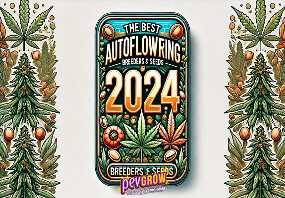 Diseño ilustrado con el texto «The best autoflowering», el año 2024 y el logotipo Pevgrow, entre plantas y hojas de cannabis. Diseño ilustrado con el texto «The best autoflowering», el año 2024 y el logotipo Pevgrow, entre plantas y hojas de cannabis.
