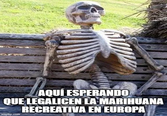 Meme de un esqueleto sentado en un banco: «Aquí esperando que legalicen la marihuana recreativa en Europa». Meme de un esqueleto sentado en un banco: «Aquí esperando que legalicen la marihuana recreativa en Europa».