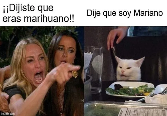 Meme de una mujer gritando y señalando a un gato ante un plato: «¡¡Dijiste que eras marihuano!!» y «Dije que soy Mariano». Meme de una mujer gritando y señalando a un gato ante un plato: «¡¡Dijiste que eras marihuano!!» y «Dije que soy Mariano».