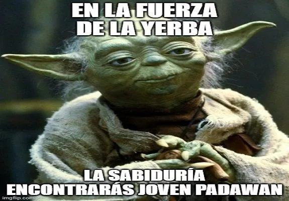 Meme de Yoda con las manos juntas y el texto: «En la fuerza de la yerba la sabiduría encontrarás joven padawan». Meme de Yoda con las manos juntas y el texto: «En la fuerza de la yerba la sabiduría encontrarás joven padawan».