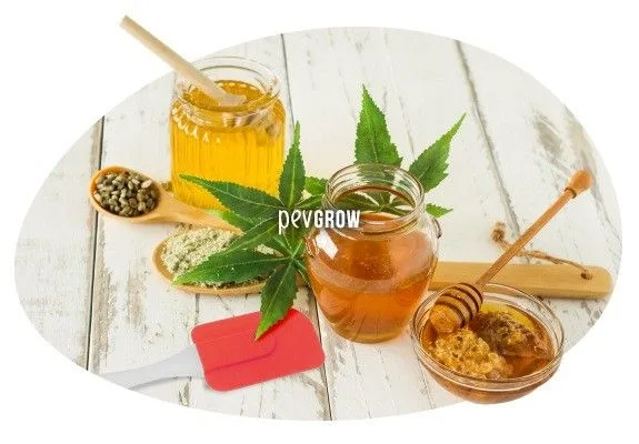 Tarros de miel, una hoja de cannabis, cucharas con semillas y polvo, un cuenco con miel y una espátula roja sobre una mesa blanca. Tarros de miel, una hoja de cannabis, cucharas con semillas y polvo, un cuenco con miel y una espátula roja sobre una mesa blanca.