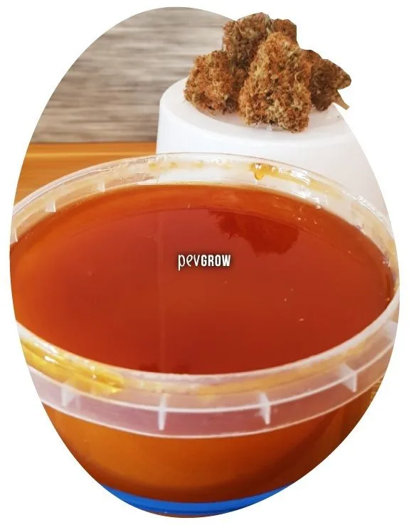 Recipiente transparente lleno de miel de tono ámbar, con varios cogollos sobre una base blanca al fondo. Recipiente transparente lleno de miel de tono ámbar, con varios cogollos sobre una base blanca al fondo.