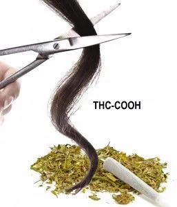 Tijeras cortando un mechón de cabello sobre cannabis desmenuzado y un cigarrillo liado, junto al texto «THC-COOH». Tijeras cortando un mechón de cabello sobre cannabis desmenuzado y un cigarrillo liado, junto al texto «THC-COOH».