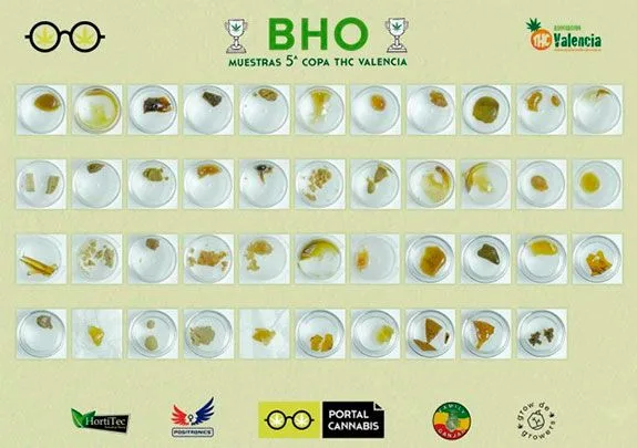 Panel de muestras de BHO de la 5.ª Copa THC Valencia, con recipientes circulares en cuatro filas y extractos de distintos tonos. Panel de muestras de BHO de la 5.ª Copa THC Valencia, con recipientes circulares en cuatro filas y extractos de distintos tonos.