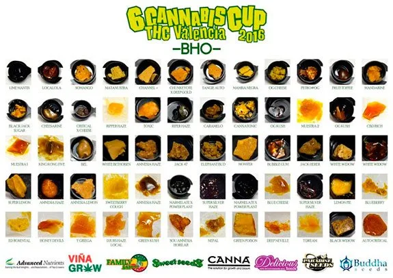 Panel de muestras de BHO de la sexta Cannabis Cup THC Valencia 2016, con extractos amarillos, ámbar y oscuros en filas etiquetadas. Panel de muestras de BHO de la sexta Cannabis Cup THC Valencia 2016, con extractos amarillos, ámbar y oscuros en filas etiquetadas.