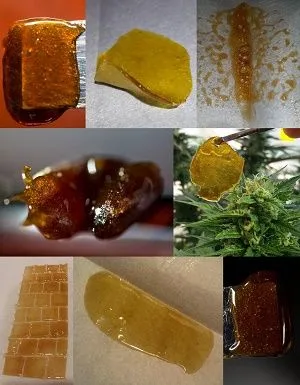 Collage de muestras de rosin amarillas, doradas y ámbar, en láminas, gotas y masas brillantes sobre papel y utensilios. Collage de muestras de rosin amarillas, doradas y ámbar, en láminas, gotas y masas brillantes sobre papel y utensilios.