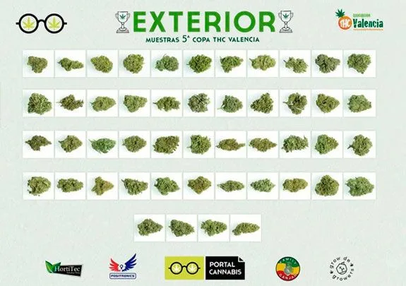 Panel «Exterior» de la quinta Copa THC Valencia, con cogollos de cannabis sobre recuadros blancos organizados en filas. Panel «Exterior» de la quinta Copa THC Valencia, con cogollos de cannabis sobre recuadros blancos organizados en filas.