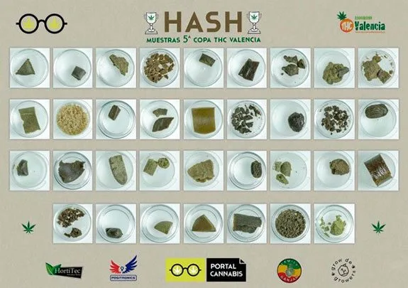 Panel «Hash» de la quinta Copa THC Valencia, con muestras de distintas formas y tonos marrones en recipientes circulares transparentes. Panel «Hash» de la quinta Copa THC Valencia, con muestras de distintas formas y tonos marrones en recipientes circulares transparentes.