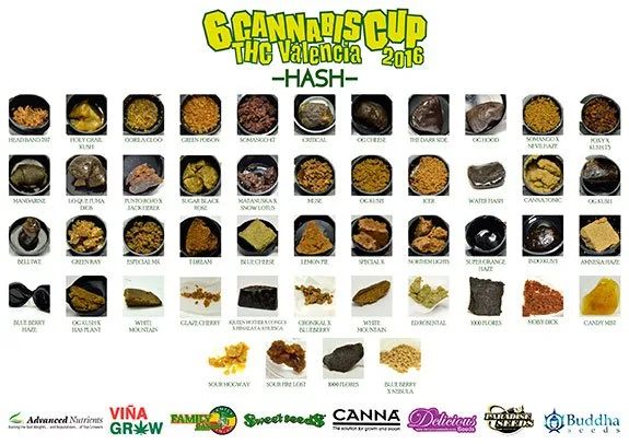 Panel de hash de la sexta Cannabis Cup THC Valencia 2016, con muestras claras y oscuras, compactas o desmenuzadas, en filas etiquetadas. Panel de hash de la sexta Cannabis Cup THC Valencia 2016, con muestras claras y oscuras, compactas o desmenuzadas, en filas etiquetadas.
