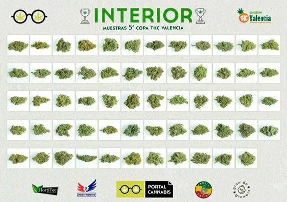 Panel «Interior» de la quinta Copa THC Valencia, con filas de cogollos verdes de distintas formas sobre recuadros blancos. Panel «Interior» de la quinta Copa THC Valencia, con filas de cogollos verdes de distintas formas sobre recuadros blancos.