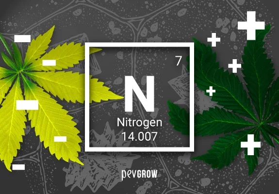 Gráfico del nitrógeno con el símbolo N entre hojas amarillas con signos menos y hojas verde oscuro con signos más. Gráfico del nitrógeno con el símbolo N entre hojas amarillas con signos menos y hojas verde oscuro con signos más.