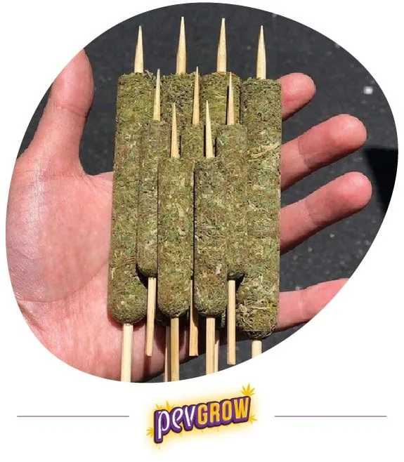 Mano abierta que sostiene varios Thai Sticks de distintos grosores y longitudes, con materia vegetal compactada alrededor de palillos. Mano abierta que sostiene varios Thai Sticks de distintos grosores y longitudes, con materia vegetal compactada alrededor de palillos.