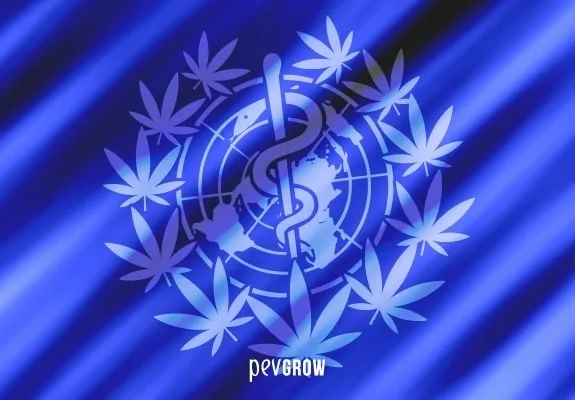 Composición azul con un globo terráqueo y una vara con serpiente rodeados de hojas de cannabis, sobre franjas diagonales luminosas. Composición azul con un globo terráqueo y una vara con serpiente rodeados de hojas de cannabis, sobre franjas diagonales luminosas.