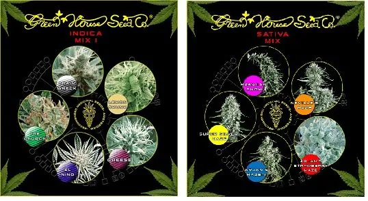 Dos envases de Green House Seed Co., Indica Mix y Sativa Mix, con fotografías circulares de distintas variedades de cannabis.