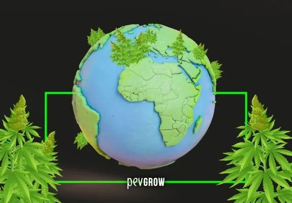Ilustración de un globo terráqueo centrado en África y Europa, con plantas de cannabis sobre el planeta y a ambos lados.