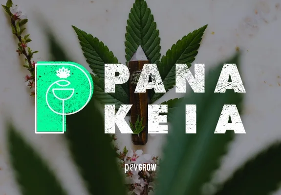 Portada con el texto «PANAKEIA», un símbolo verde a la izquierda y el logotipo de Pevgrow sobre un fondo de hojas de cannabis. Portada con el texto «PANAKEIA», un símbolo verde a la izquierda y el logotipo de Pevgrow sobre un fondo de hojas de cannabis.