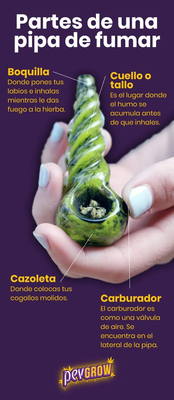 Infografía de una pipa verde sostenida entre las manos, con flechas que señalan la boquilla, el cuello o tallo, la cazoleta y el carburador. Infografía de una pipa verde sostenida entre las manos, con flechas que señalan la boquilla, el cuello o tallo, la cazoleta y el carburador.