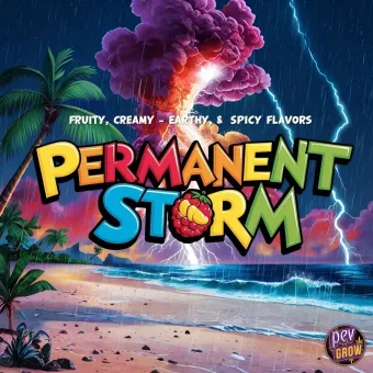 Ilustración de la ficha de Permanent Storm: tormenta con rayos sobre una playa con palmeras y el texto Permanent Storm con una frambuesa