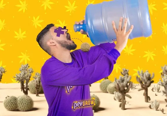 Montaje de un hombre con camiseta morada que acerca un gran bidón azul a la boca, entre cactus y un fondo amarillo.