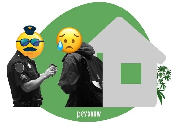 Collage de un policía y una persona con rostros de emojis junto a una casa gris, con una planta de cannabis asomando por un lateral. Collage de un policía y una persona con rostros de emojis junto a una casa gris, con una planta de cannabis asomando por un lateral.