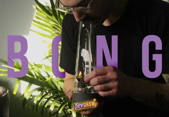 Persona con gafas y camiseta negra sosteniendo un bong transparente con la boca en su abertura, bajo el texto morado «BONG». Persona con gafas y camiseta negra sosteniendo un bong transparente con la boca en su abertura, bajo el texto morado «BONG».