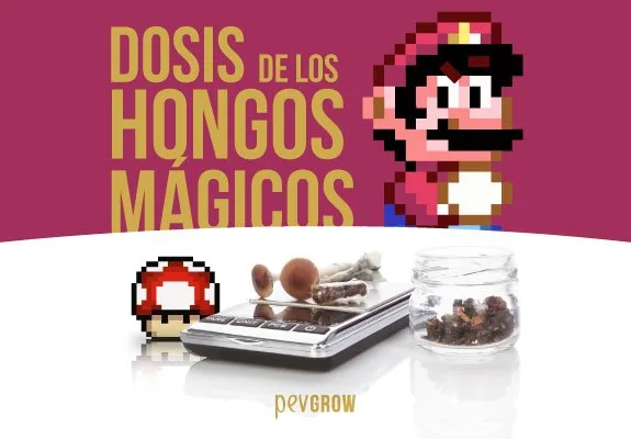 Portada con el texto «Dosis de los hongos mágicos», un personaje pixelado, una báscula con hongos y un tarro transparente. Portada con el texto «Dosis de los hongos mágicos», un personaje pixelado, una báscula con hongos y un tarro transparente.