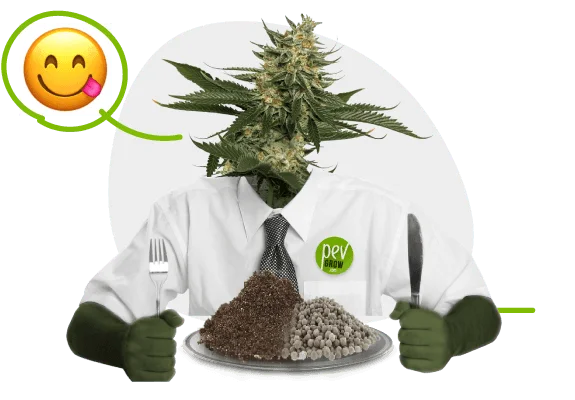 Montaje de una figura con cabeza de cannabis, camisa y corbata, sosteniendo cubiertos ante un plato con dos montones de sustrato. Montaje de una figura con cabeza de cannabis, camisa y corbata, sosteniendo cubiertos ante un plato con dos montones de sustrato.