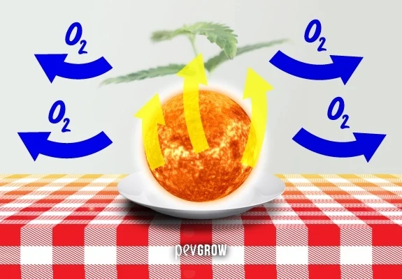 Montaje de una esfera solar sobre un plato, con flechas amarillas ascendentes y flechas azules con el símbolo O₂ alrededor. Montaje de una esfera solar sobre un plato, con flechas amarillas ascendentes y flechas azules con el símbolo O₂ alrededor.