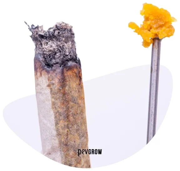 Primer plano de un porro con ceniza en el extremo y una herramienta metálica con una porción de concentrado amarillo sobre fondo blanco. Primer plano de un porro con ceniza en el extremo y una herramienta metálica con una porción de concentrado amarillo sobre fondo blanco.