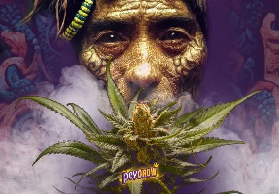 Montaje de un rostro con marcas ornamentales, un cogollo de cannabis en primer plano y humo sobre un fondo morado.