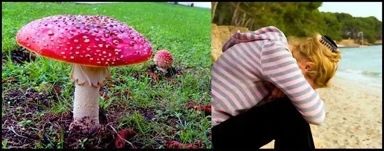 Composición dividida: una seta roja con manchas blancas en la hierba y una persona sentada con la cabeza sobre los brazos.