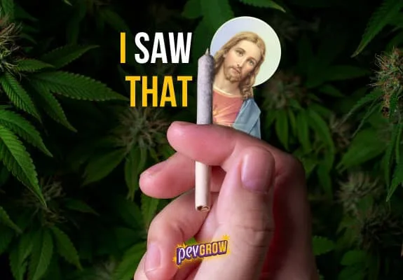 Montaje de una mano con un cigarrillo liado, una figura de Jesús y el texto «I SAW THAT» sobre un fondo de cannabis. Montaje de una mano con un cigarrillo liado, una figura de Jesús y el texto «I SAW THAT» sobre un fondo de cannabis.