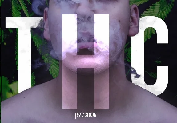 Montaje de una persona con humo frente al rostro, hojas de cannabis al fondo y grandes letras blancas «THC» superpuestas. Montaje de una persona con humo frente al rostro, hojas de cannabis al fondo y grandes letras blancas «THC» superpuestas.