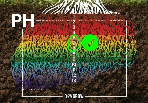 Diagrama de raíces sobre tierra con una escala de pH de colores y una marca verde que destaca la zona entre 5 y 6.