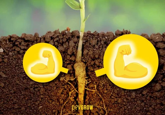 Corte del suelo que muestra el tallo y las raíces de una planta, flanqueados por dos círculos amarillos con brazos flexionados. Corte del suelo que muestra el tallo y las raíces de una planta, flanqueados por dos círculos amarillos con brazos flexionados.