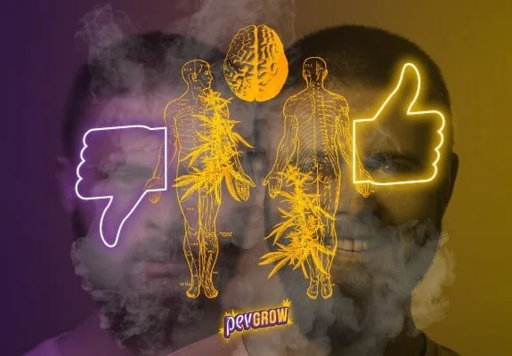 Montaje de dos rostros entre humo, siluetas anatómicas, un cerebro y símbolos luminosos de pulgar arriba y abajo.