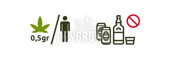 Pictogramas de una hoja de cannabis con «0,5 gr» por persona y bebidas alcohólicas junto a una señal de prohibición. Pictogramas de una hoja de cannabis con «0,5 gr» por persona y bebidas alcohólicas junto a una señal de prohibición.