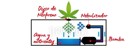 Esquema de un sistema aeropónico con planta, disco de neopreno, raíces suspendidas, nebulizador, bomba y depósito de agua y nutrientes.