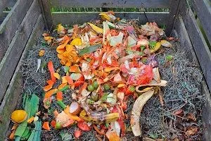 Compostera de tablas de madera con un montón de cáscaras y restos de frutas y verduras sobre materia vegetal seca. Compostera de tablas de madera con un montón de cáscaras y restos de frutas y verduras sobre materia vegetal seca.